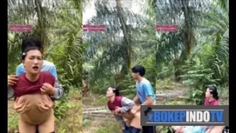 Bokep Indo Mesum Dikebun Sawit Sama Ibu Tiri