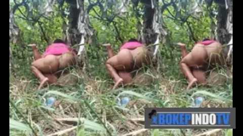 Bokep Jepang Tante Diewe Suami Tetangga Dikebun